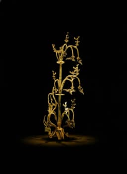 2024–2025 — 謎團持續